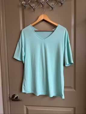 Light Blue V-Neck Women's Top